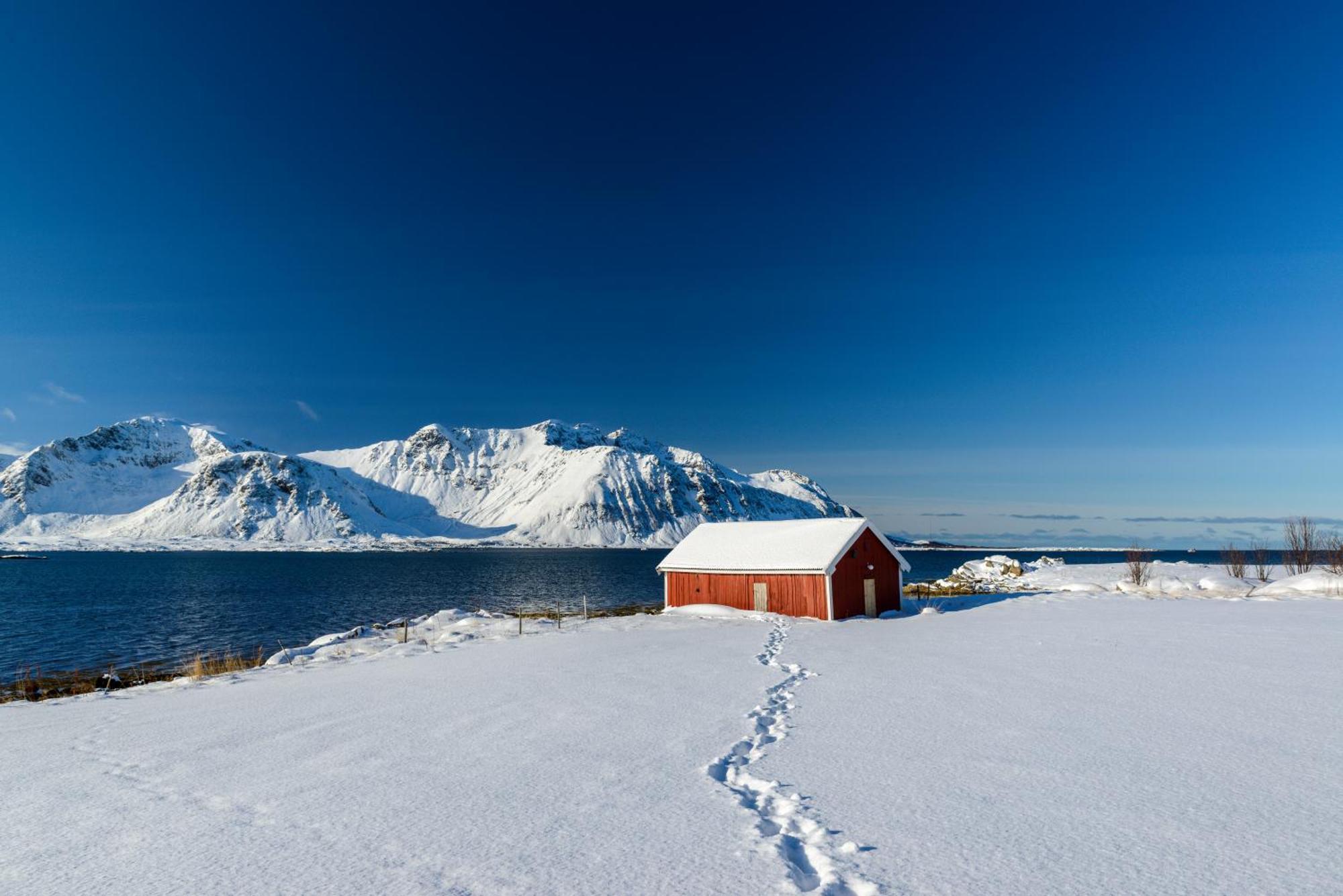 Lillevik Lofoten Gimsoy Ngoại thất bức ảnh